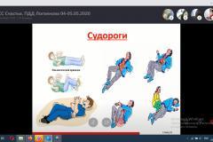 логвиноваpng
